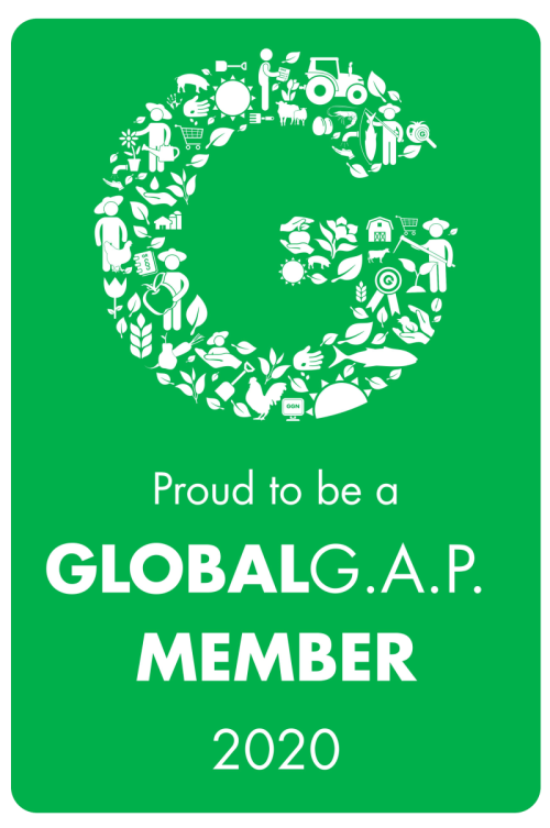 GAP Membership Certificate